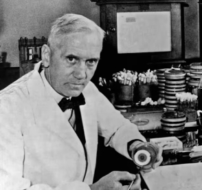 Fleming Discovers Penicillin